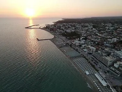 Vasiliki's *